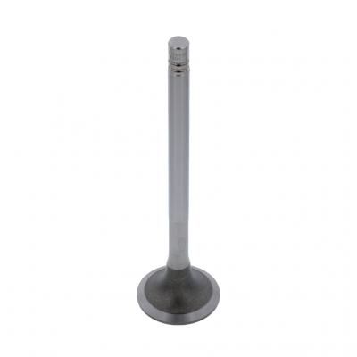 INTAKE VALVE (Pack of 2)