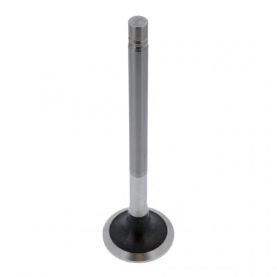 INTAKE VALVE (Pack of 2)