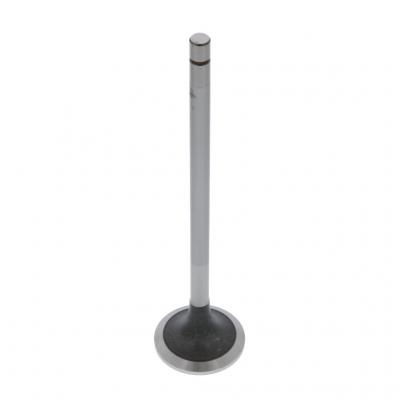 INTAKE VALVE (Pack of 2)