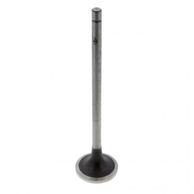 INTAKE VALVE (Pack of 2)