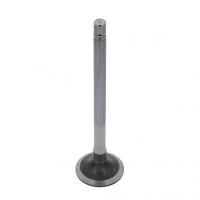 EXHAUST VALVE (Pack of 2)