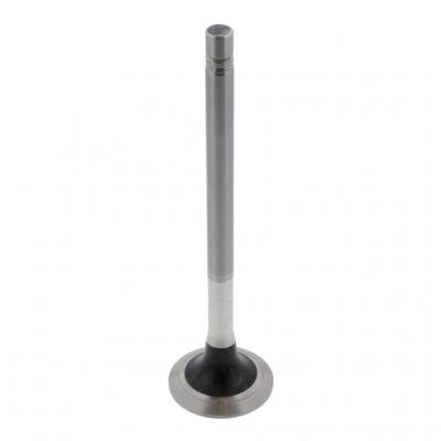 EXHAUST VALVE (Pack of 2)