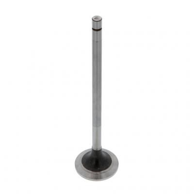 EXHAUST VALVE (Pack of 2)