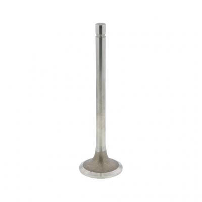 EXHAUST VALVE (Pack of 2)