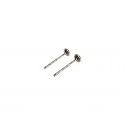 EXHAUST VALVE (Pack of 2)