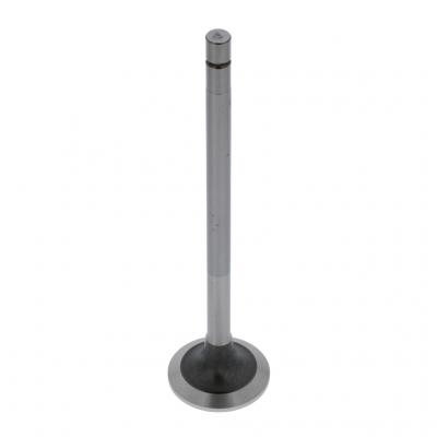 EXHAUST VALVE (Pack of 2)