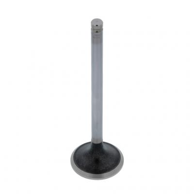 EXHAUST VALVE (Pack of 2)