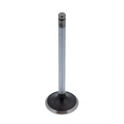 EXHAUST VALVE (Pack of 2)