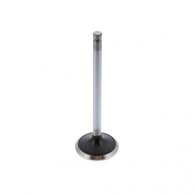 EXHAUST VALVE (Pack of 2)