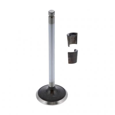 EXHAUST VALVE KIT (Pack of 2)