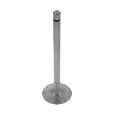 INTAKE VALVE (Pack of 2)