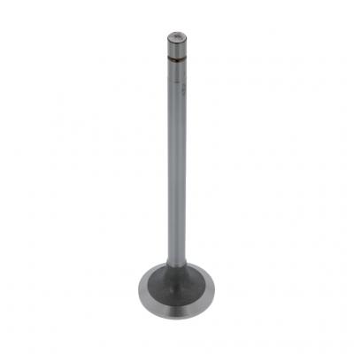 INTAKE VALVE (Pack of 2)