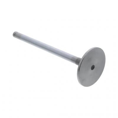 INTAKE VALVE (Pack of 2)