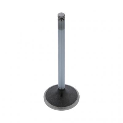 INTAKE VALVE (Pack of 2)