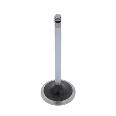 INTAKE VALVE (Pack of 2)