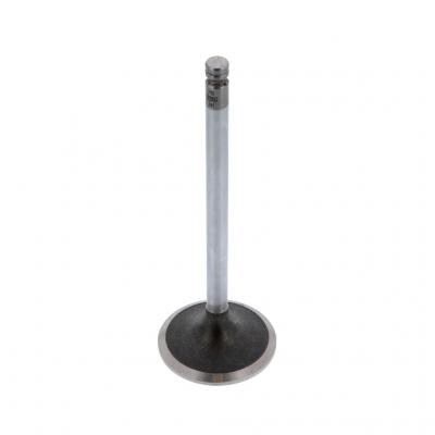 INTAKE VALVE (Pack of 2)