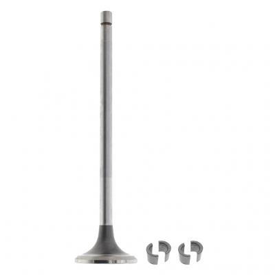 EXHAUST VALVE KIT (Pack of 2)