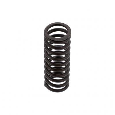 VALVE SPRING (Pack of 4)