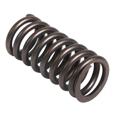 VALVE SPRING (Pack of 4)