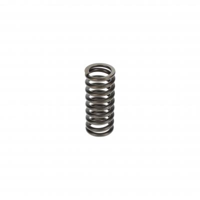 VALVE SPRING (Pack of 4)