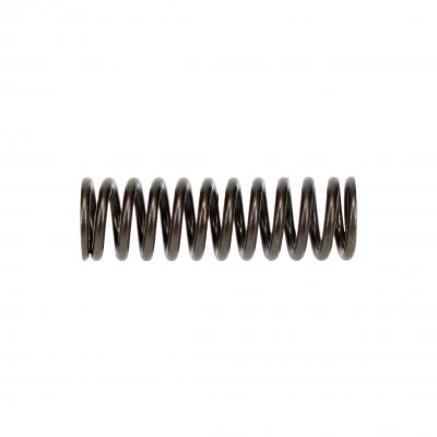 VALVE SPRING (Pack of 4)