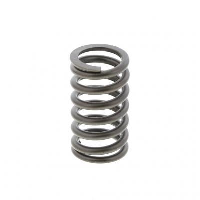 VALVE SPRING (Pack of 4)