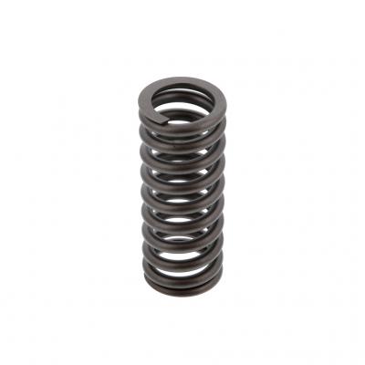 VALVE SPRING (Pack of 4)