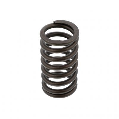 VALVE SPRING (Pack of 4)