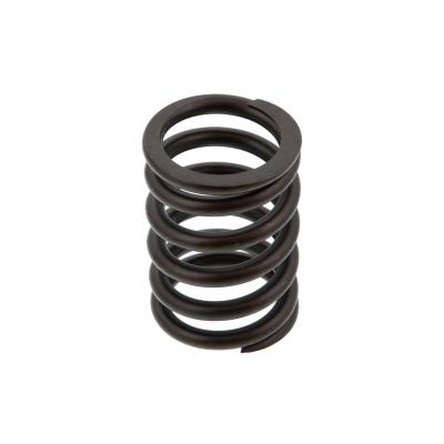 VALVE SPRING (Pack of 4)