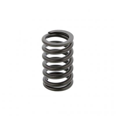VALVE SPRING (Pack of 4)