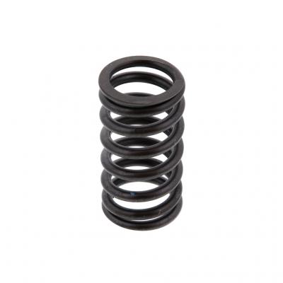 VALVE SPRING (Pack of 6)