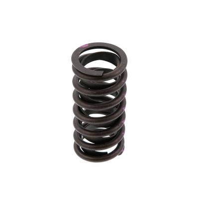 EXHAUST VALVE SPRING (Pack of 6)