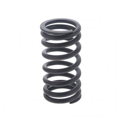 VALVE SPRING (Pack of 6)