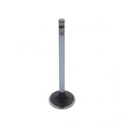 INTAKE VALVE (Pack of 2)