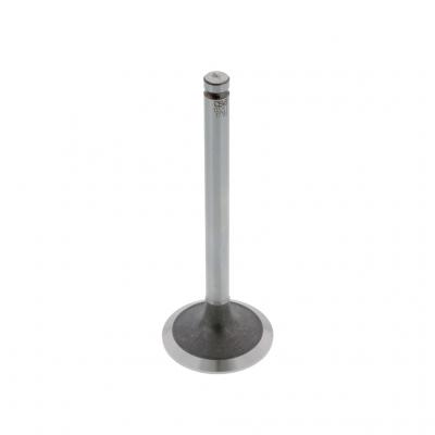 EXHAUST VALVE (Pack of 2)