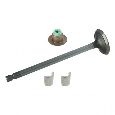 EXHAUST VALVE KIT (Pack of 2)