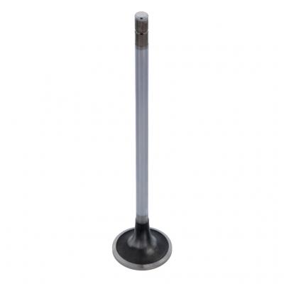 INTAKE VALVE (Pack of 2)