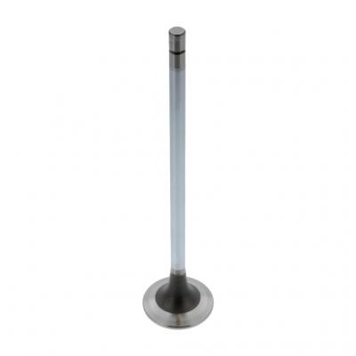 HIGH PERFORMANCE INTAKE VALVE (Pack of 2)