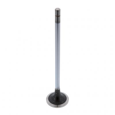 INTAKE VALVE (Pack of 2)