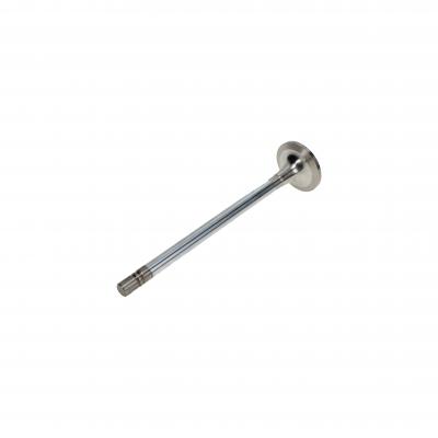 EXHAUST VALVE (Pack of 2)