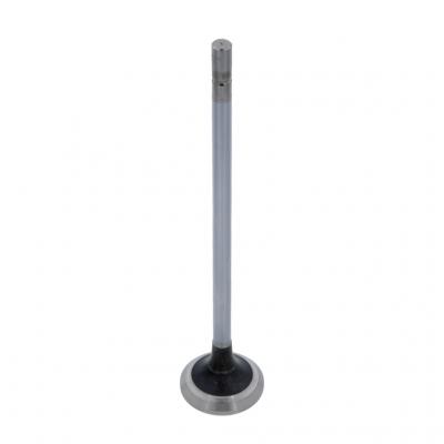 EXHAUST VALVE (Pack of 2)