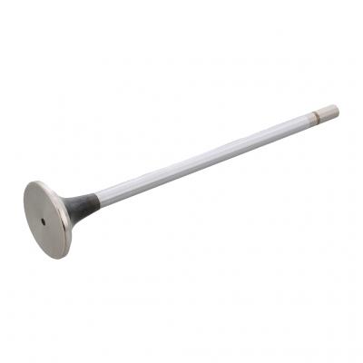 EXHAUST VALVE (Pack of 2)