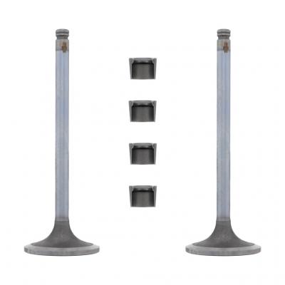 INTAKE VALVE KIT (Pack of 2)