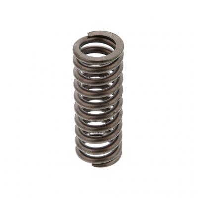 VALVE SPRING (Pack of 4)