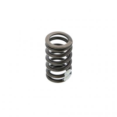 VALVE SPRING (Pack of 6)
