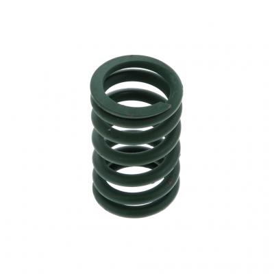 VALVE SPRING (Pack of 2)
