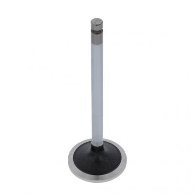 EXHAUST VALVE (Pack of 2)