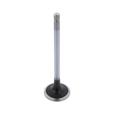 INTAKE VALVE (Pack of 2)