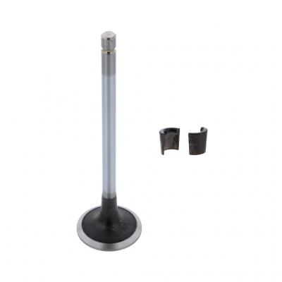 INTAKE VALVE KIT (Pack of 2)