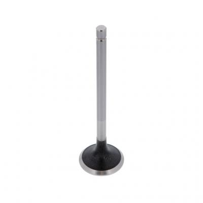EXHAUST VALVE (Pack of 2)